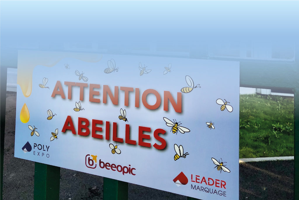 Grâce aux abeilles de Beeopic, Poly Expo se mobilise pour l’environnement