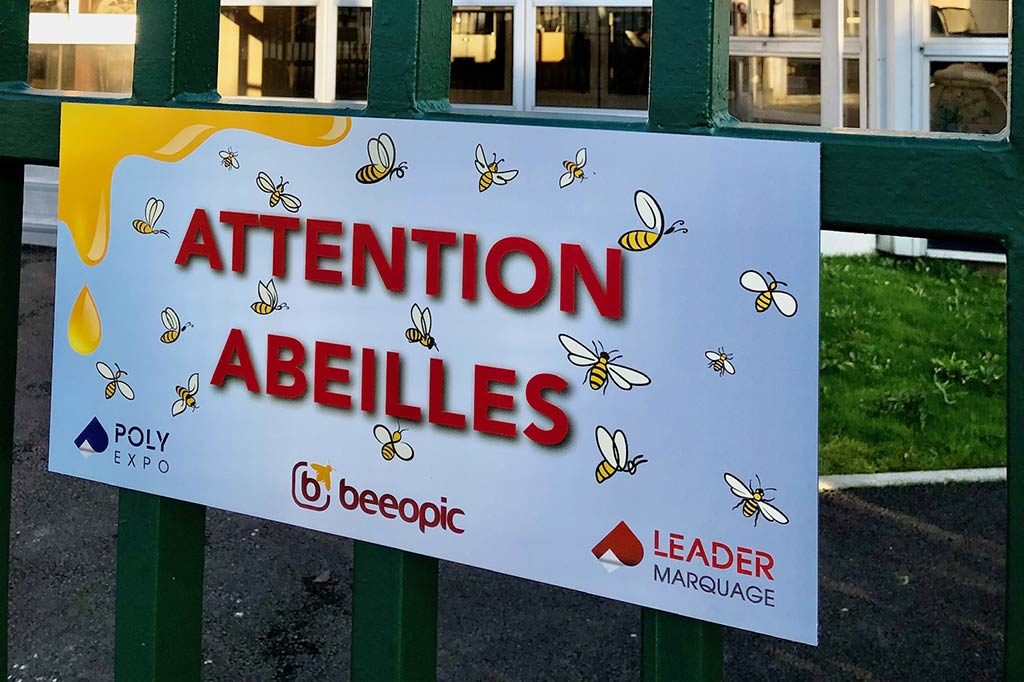 Grâce aux abeilles de Beeopic, Poly Expo se mobilise pour l’environnement